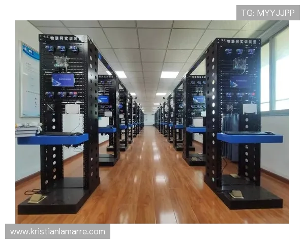 欧博网络维护案例分析：成功保障企业信息系统稳定运行的实践经验